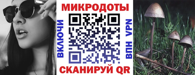 Галлюциногенные грибы MAGIC MUSHROOMS Купить Грайворон