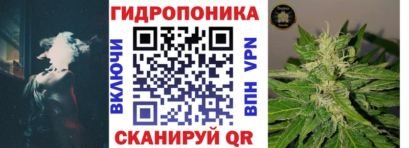 Бошки марихуана White Widow Купить где Грайворон